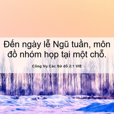 Picture 06 - Công Vụ Các Sứ đồ 2:1 VIE - Đến ngày lễ Ngũ tuần, môn đồ nhóm - Bible Verse Picture