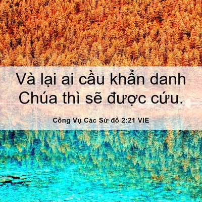 Picture 06 - Công Vụ Các Sứ đồ 2:21 VIE - Và lại ai cầu khẩn danh Chúa thì sẽ - Bible Verse Picture