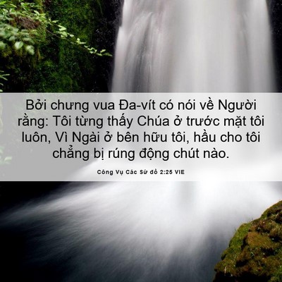 Picture 06 - Công Vụ Các Sứ đồ 2:25 VIE - Bởi chưng vua Đa-vít có nói về Người - Bible Verse Picture