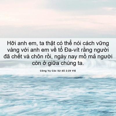 Picture 06 - Công Vụ Các Sứ đồ 2:29 VIE - Hỡi anh em, ta thật có thể nói cách - Bible Verse Picture