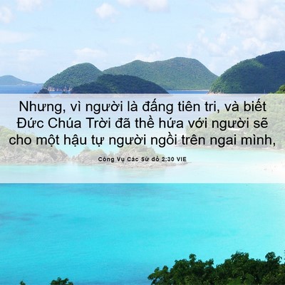 Picture 06 - Công Vụ Các Sứ đồ 2:30 VIE - Nhưng, vì người là đấng tiên tri, và - Bible Verse Picture
