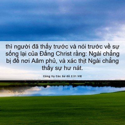 Picture 06 - Công Vụ Các Sứ đồ 2:31 VIE - thì người đã thấy trước và nói - Bible Verse Picture