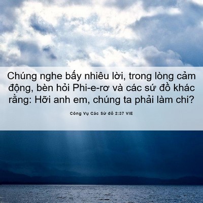 Picture 06 - Công Vụ Các Sứ đồ 2:37 VIE - Chúng nghe bấy nhiêu lời, trong lòng cảm - Bible Verse Picture
