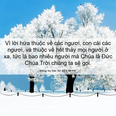 Picture 06 - Công Vụ Các Sứ đồ 2:39 VIE - Vì lời hứa thuộc về các ngươi, con - Bible Verse Picture