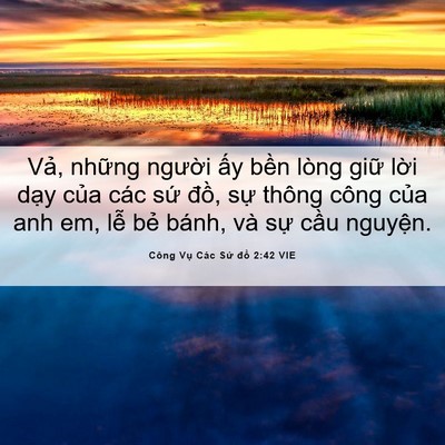 Picture 06 - Công Vụ Các Sứ đồ 2:42 VIE - Vả, những người ấy bền lòng giữ - Bible Verse Picture