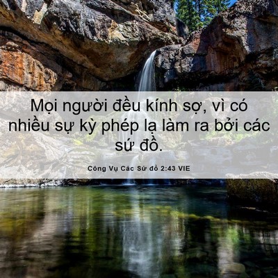 Picture 06 - Công Vụ Các Sứ đồ 2:43 VIE - Mọi người đều kính sợ, vì có nhiều - Bible Verse Picture