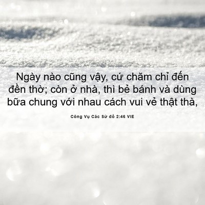 Picture 06 - Công Vụ Các Sứ đồ 2:46 VIE - Ngày nào cũng vậy, cứ chăm chỉ đến - Bible Verse Picture