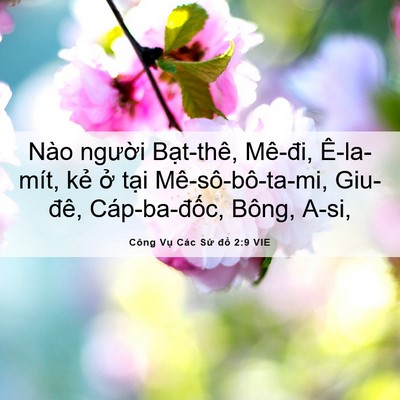 Picture 06 - Công Vụ Các Sứ đồ 2:9 VIE - Nào người Bạt-thê, Mê-đi, Ê-la-mít, - Bible Verse Picture