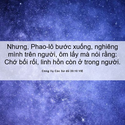 Picture 06 - Công Vụ Các Sứ đồ 20:10 VIE - Nhưng, Phao-lô bước xuống, nghiêng mình - Bible Verse Picture