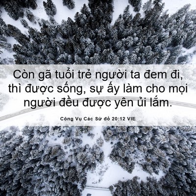 Picture 06 - Công Vụ Các Sứ đồ 20:12 VIE - Còn gã tuổi trẻ người ta đem đi, thì - Bible Verse Picture
