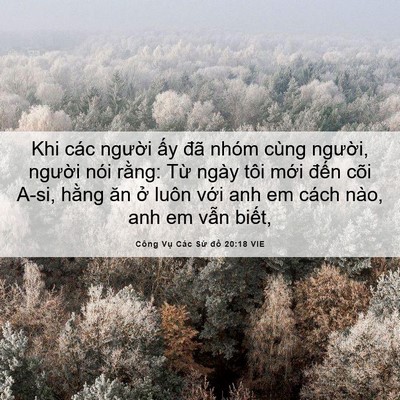 Picture 06 - Công Vụ Các Sứ đồ 20:18 VIE - Khi các người ấy đã nhóm cùng người, - Bible Verse Picture