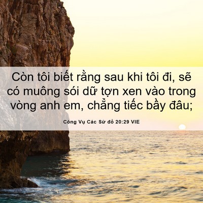 Picture 06 - Công Vụ Các Sứ đồ 20:29 VIE - Còn tôi biết rằng sau khi tôi đi, sẽ - Bible Verse Picture