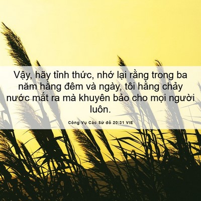 Picture 06 - Công Vụ Các Sứ đồ 20:31 VIE - Vậy, hãy tỉnh thức, nhớ lại rằng - Bible Verse Picture