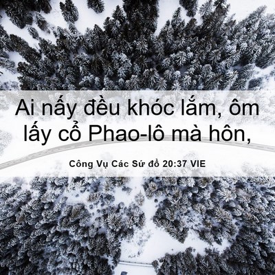 Picture 06 - Công Vụ Các Sứ đồ 20:37 VIE - Ai nấy đều khóc lắm, ôm lấy cổ - Bible Verse Picture