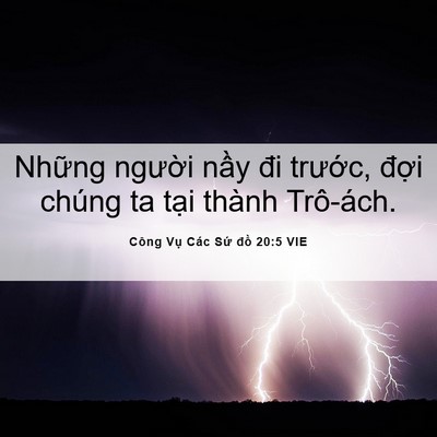 Picture 06 - Công Vụ Các Sứ đồ 20:5 VIE - Những người nầy đi trước, đợi - Bible Verse Picture