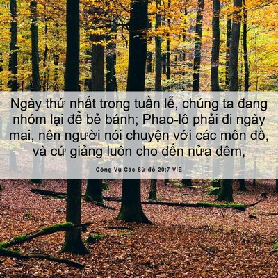 Picture 06 - Công Vụ Các Sứ đồ 20:7 VIE - Ngày thứ nhất trong tuần lễ, chúng ta - Bible Verse Picture