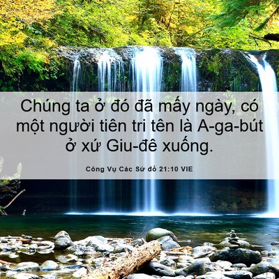 Picture 06 - Công Vụ Các Sứ đồ 21:10 VIE - Chúng ta ở đó đã mấy ngày, có một - Bible Verse Picture