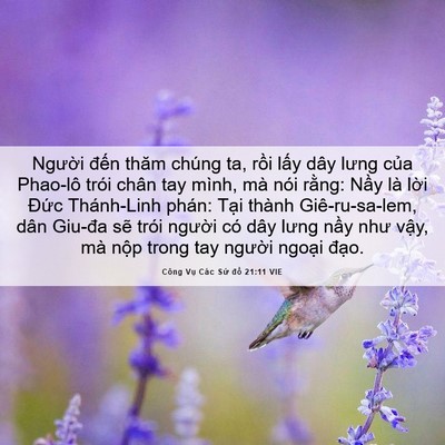 Picture 06 - Công Vụ Các Sứ đồ 21:11 VIE - Người đến thăm chúng ta, rồi lấy dây - Bible Verse Picture