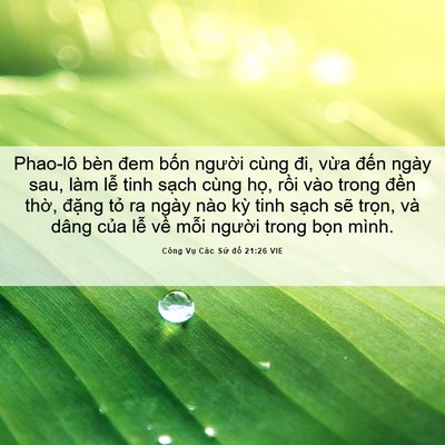 Picture 06 - Công Vụ Các Sứ đồ 21:26 VIE - Phao-lô bèn đem bốn người cùng đi, - Bible Verse Picture