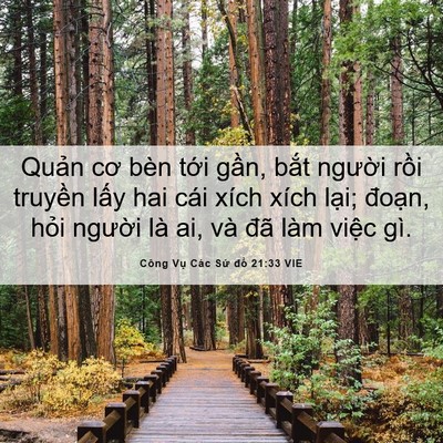 Picture 06 - Công Vụ Các Sứ đồ 21:33 VIE - Quản cơ bèn tới gần, bắt người rồi - Bible Verse Picture