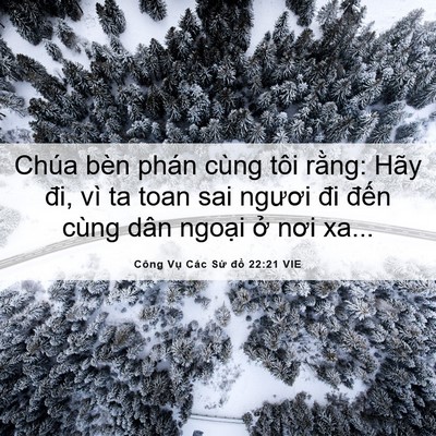 Picture 06 - Công Vụ Các Sứ đồ 22:21 VIE - Chúa bèn phán cùng tôi rằng: Hãy đi, vì - Bible Verse Picture
