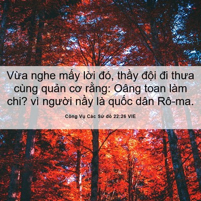 Picture 06 - Công Vụ Các Sứ đồ 22:26 VIE - Vừa nghe mấy lời đó, thầy đội đi - Bible Verse Picture