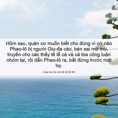 Picture 06 - Công Vụ Các Sứ đồ 22:30 VIE - Hôm sau, quản cơ muốn biết cho đúng vì - Bible Verse Picture