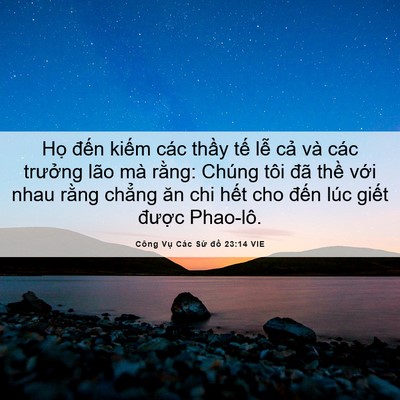Picture 06 - Công Vụ Các Sứ đồ 23:14 VIE - Họ đến kiếm các thầy tế lễ cả và - Bible Verse Picture