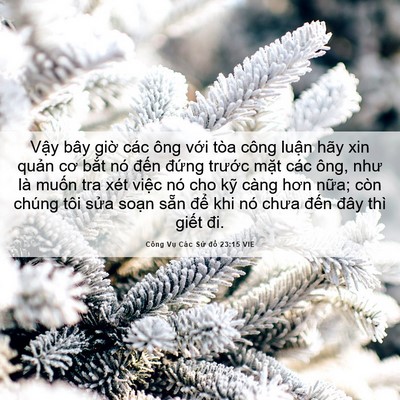 Picture 06 - Công Vụ Các Sứ đồ 23:15 VIE - Vậy bây giờ các ông với tòa công - Bible Verse Picture