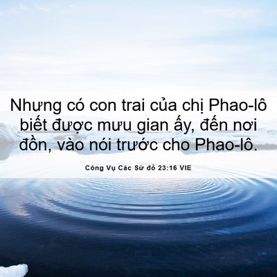 Picture 06 - Công Vụ Các Sứ đồ 23:16 VIE - Nhưng có con trai của chị Phao-lô biết - Bible Verse Picture