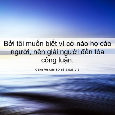 Picture 06 - Công Vụ Các Sứ đồ 23:28 VIE - Bởi tôi muốn biết vì cớ nào họ cáo - Bible Verse Picture