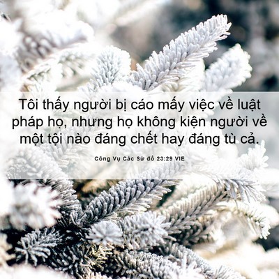 Picture 06 - Công Vụ Các Sứ đồ 23:29 VIE - Tôi thấy người bị cáo mấy việc về - Bible Verse Picture