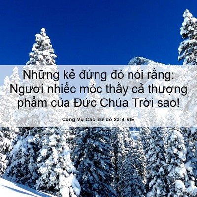 Picture 06 - Công Vụ Các Sứ đồ 23:4 VIE - Những kẻ đứng đó nói rằng: Ngươi - Bible Verse Picture