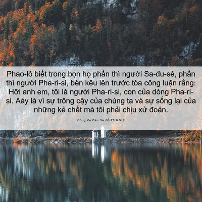 Picture 06 - Công Vụ Các Sứ đồ 23:6 VIE - Phao-lô biết trong bọn họ phần thì - Bible Verse Picture
