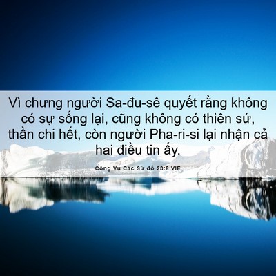 Picture 06 - Công Vụ Các Sứ đồ 23:8 VIE - Vì chưng người Sa-đu-sê quyết rằng - Bible Verse Picture