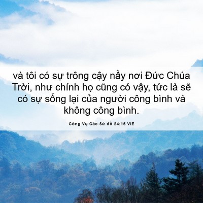 Picture 06 - Công Vụ Các Sứ đồ 24:15 VIE - và tôi có sự trông cậy nầy nơi Đức - Bible Verse Picture