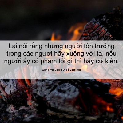 Picture 06 - Công Vụ Các Sứ đồ 25:5 VIE - Lại nói rằng những người tôn trưởng - Bible Verse Picture