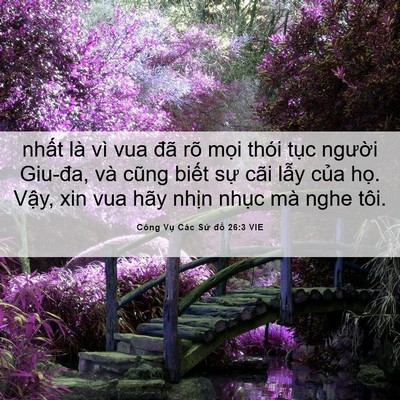 Picture 06 - Công Vụ Các Sứ đồ 26:3 VIE - nhất là vì vua đã rõ mọi thói tục - Bible Verse Picture