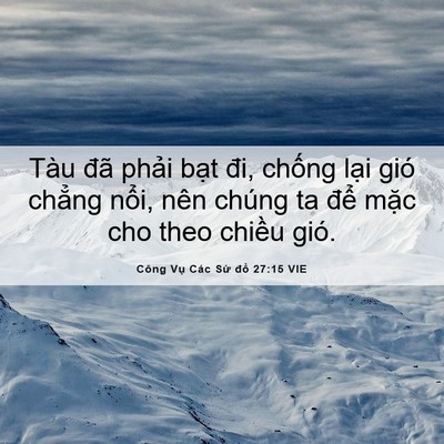 Picture 06 - Công Vụ Các Sứ đồ 27:15 VIE - Tàu đã phải bạt đi, chống lại gió - Bible Verse Picture