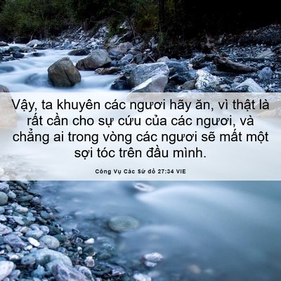 Picture 06 - Công Vụ Các Sứ đồ 27:34 VIE - Vậy, ta khuyên các ngươi hãy ăn, vì - Bible Verse Picture