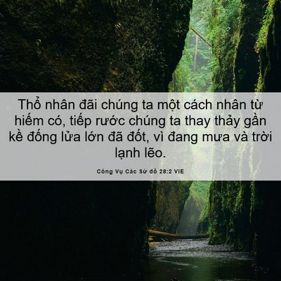 Picture 06 - Công Vụ Các Sứ đồ 28:2 VIE - Thổ nhân đãi chúng ta một cách nhân - Bible Verse Picture