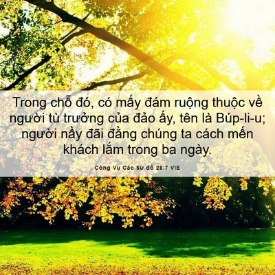 Picture 06 - Công Vụ Các Sứ đồ 28:7 VIE - Trong chỗ đó, có mấy đám ruộng thuộc - Bible Verse Picture