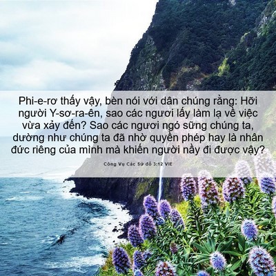 Picture 06 - Công Vụ Các Sứ đồ 3:12 VIE - Phi-e-rơ thấy vậy, bèn nói với dân - Bible Verse Picture