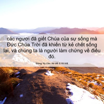 Picture 06 - Công Vụ Các Sứ đồ 3:15 VIE - các ngươi đã giết Chúa của sự sống - Bible Verse Picture