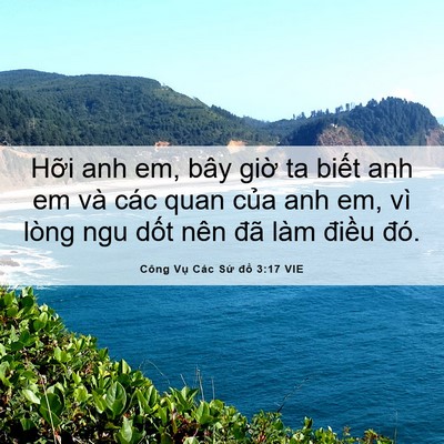 Picture 06 - Công Vụ Các Sứ đồ 3:17 VIE - Hỡi anh em, bây giờ ta biết anh em và - Bible Verse Picture