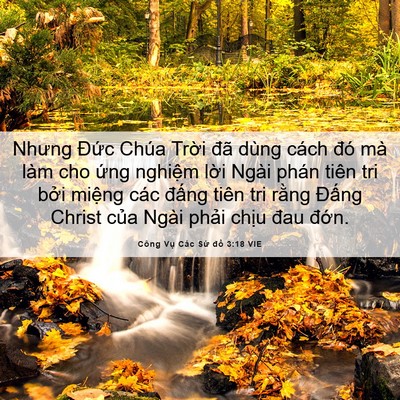 Picture 06 - Công Vụ Các Sứ đồ 3:18 VIE - Nhưng Đức Chúa Trời đã dùng cách đó - Bible Verse Picture