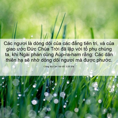 Picture 06 - Công Vụ Các Sứ đồ 3:25 VIE - Các ngươi là dòng dõi của các đấng - Bible Verse Picture