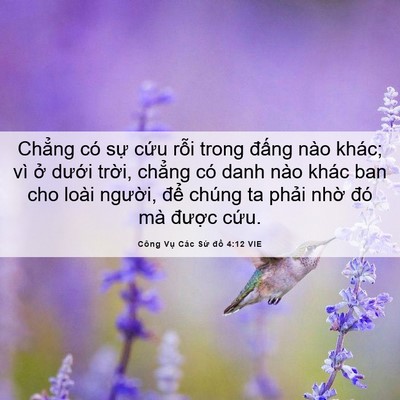 Picture 06 - Công Vụ Các Sứ đồ 4:12 VIE - Chẳng có sự cứu rỗi trong đấng nào - Bible Verse Picture