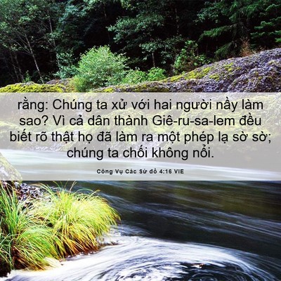Picture 06 - Công Vụ Các Sứ đồ 4:16 VIE - rằng: Chúng ta xử với hai người nầy - Bible Verse Picture