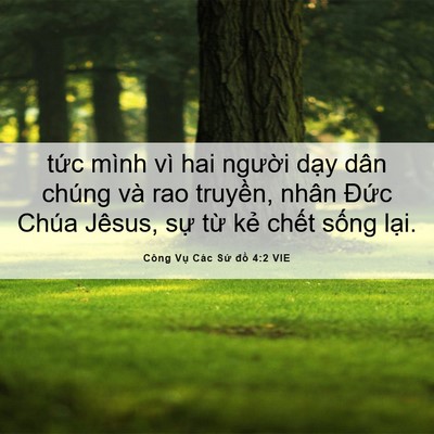 Picture 06 - Công Vụ Các Sứ đồ 4:2 VIE - tức mình vì hai người dạy dân chúng - Bible Verse Picture